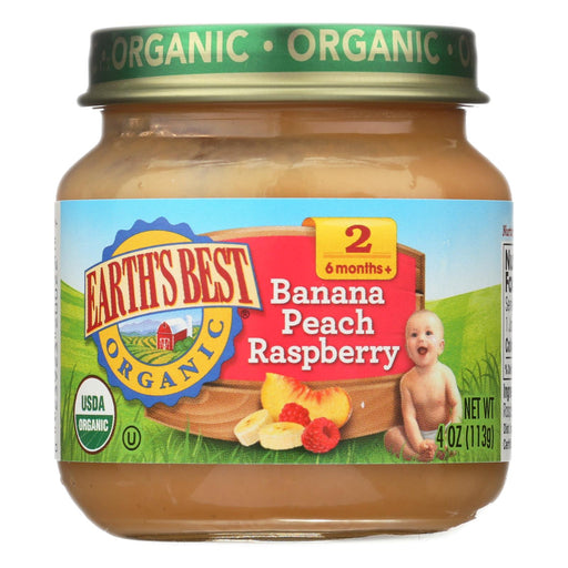 Earth's Best Organic Banana Peach Raspberry Baby Food - Stage 2 - Case Of 12 - 4 Oz.
