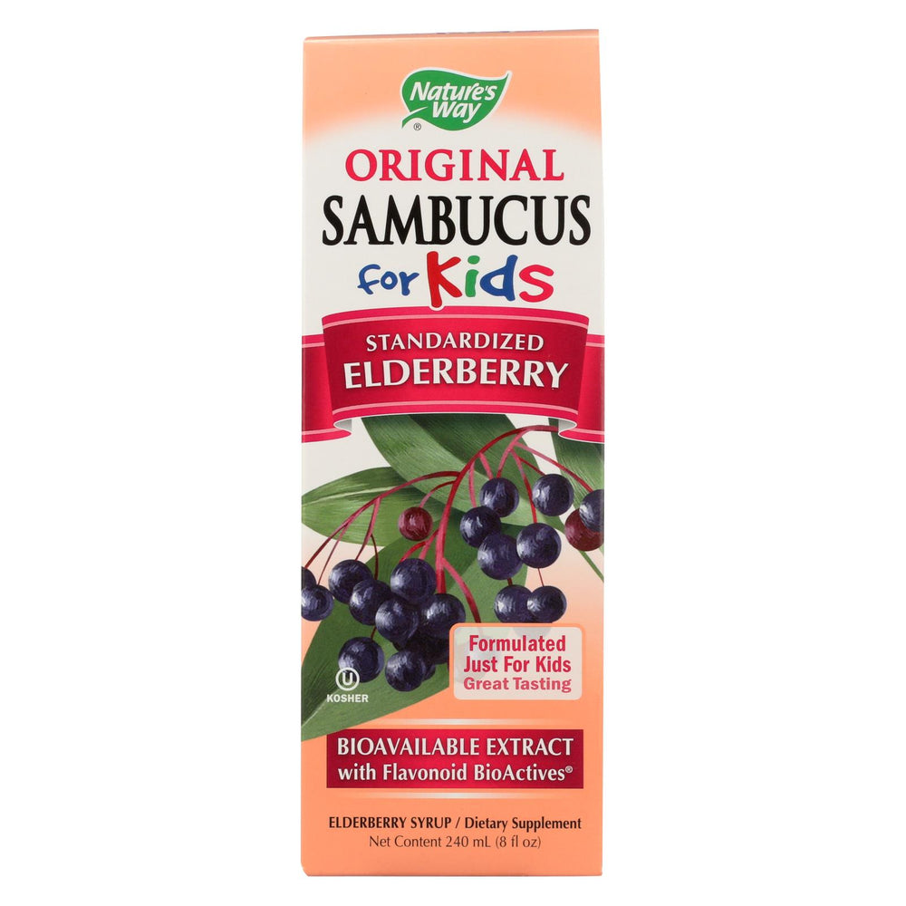 Nature's Way Original Sambucus For Kids - Standardized Elderberry - 8 Fl Oz