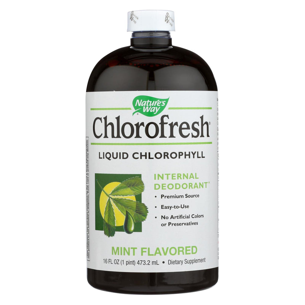 Nature's Way Chlorofresh Liquid Chlorophyll Natural Mint - 16 Fl Oz