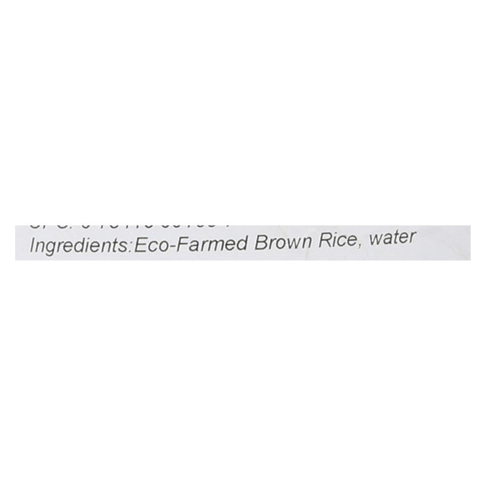 Lundberg Family Farms Brown Rice Syrup - Sweet Dreams - 55 Lb.