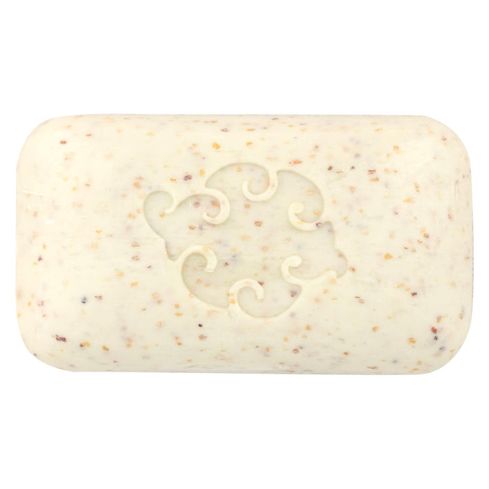 Baudelaire Hand Soap Loofa Mint - 5 Oz