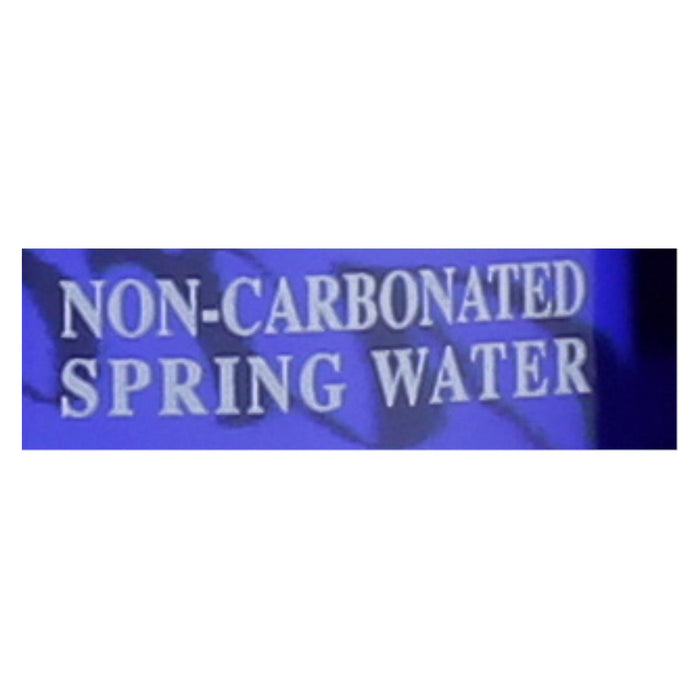 Saratoga Springs Water Natural Spring Water - Case Of 12 - 28 Fl Oz.