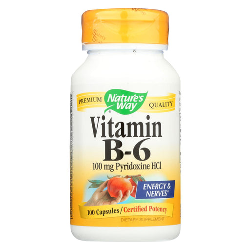Nature's Way Vitamin B-6 - 100 Mg - 100 Capsules