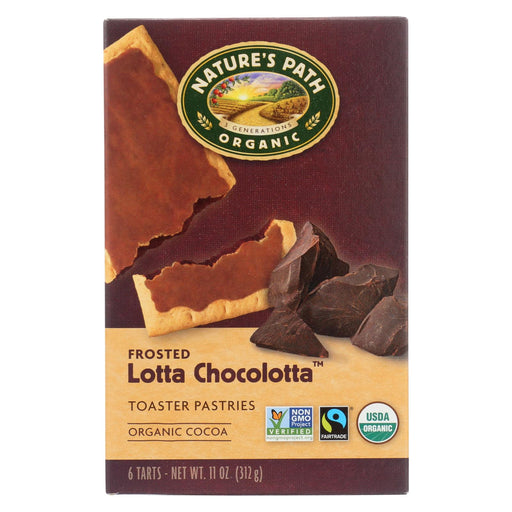 Nature's Path Organic Frosted Toaster Pastries - Lotta Chocolotta - Case Of 12 - 11 Oz.