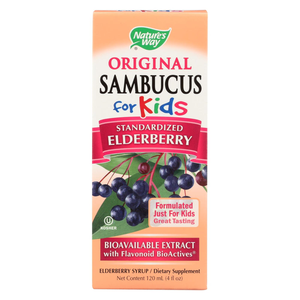 Nature's Way Original Sambucus For Kids - Standardized Elderberry - 4 Fl Oz