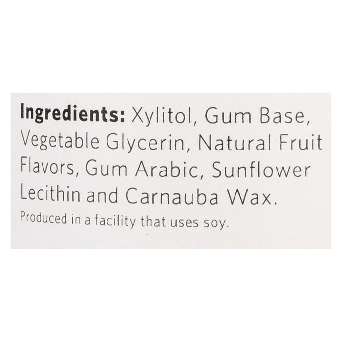 Xylichew Gum - Fruit - Jar - 60 Pieces - 1 Case