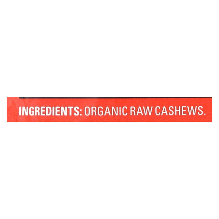 Artisana Organic Raw Cashew Butter - Squeeze Packs - 1.06 Oz - Case Of 10
