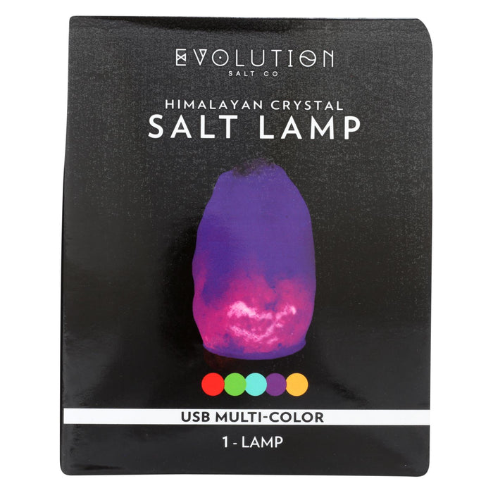 Evolution Salt Lamp - Usb - Natural - Multi Color Changing - 1 Count