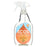 Earth Friendly All Purpose Cleaner - Ginger Plus - Case Of 6 - 22 Fl Oz.