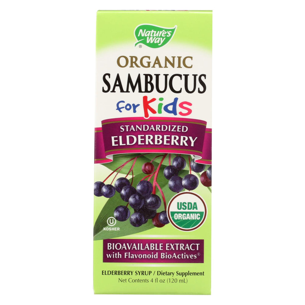 Nature's Way Organic Sambucus For Kids - Elderberry Syrup - 4 Fl Oz